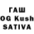 Псилоцибиновые грибы Magic Shrooms Aniruddha Sawant