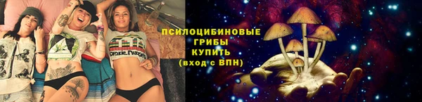 шишки Абинск