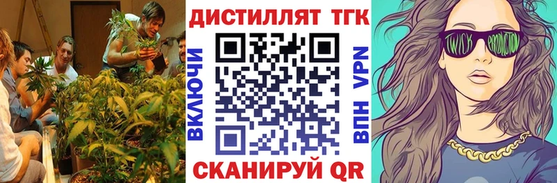 закладка  Хадыженск  ТГК Wax 