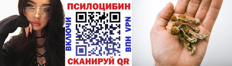 Псилоцибиновые грибы Psilocybe  kraken вход  Хадыженск 